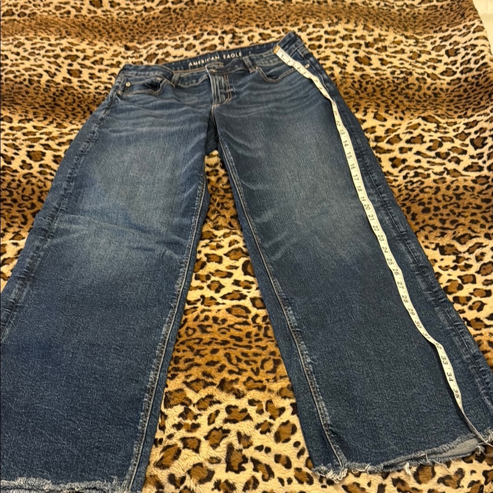 American Eagle low rise baggy wide leg jeans